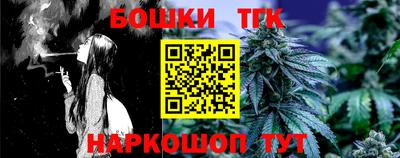 индика Мариинск