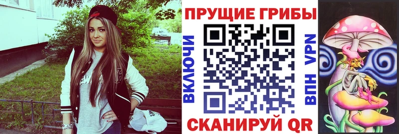 где продают наркотики  Дзержинск  Галлюциногенные грибы Magic Shrooms 