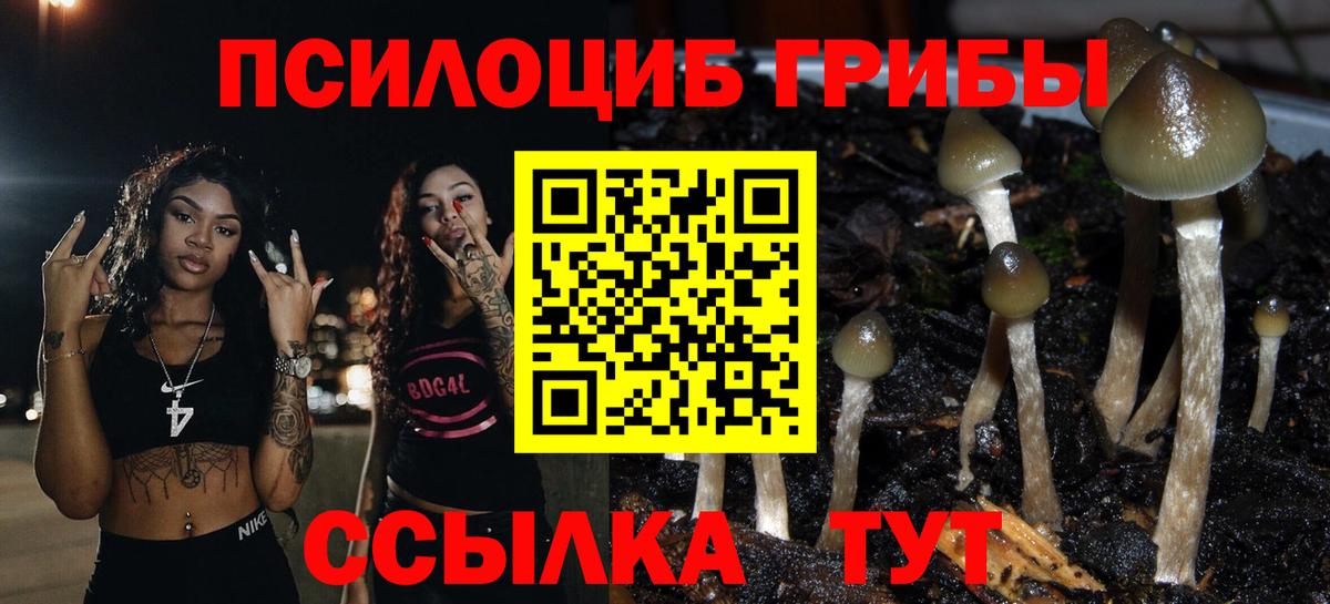 Галлюциногенные грибы прущие грибы Дзержинск