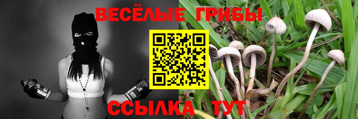 Дзержинск  где найти   Вход с VPN  Галлюциногенные грибы ЛСД 