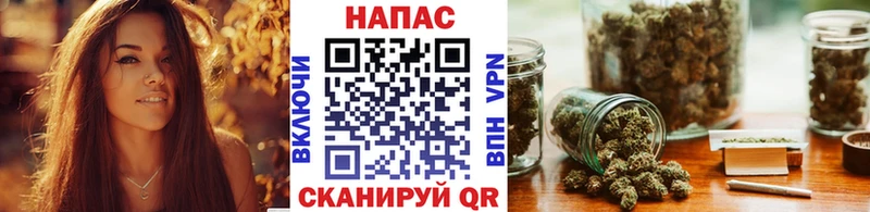 купить наркоту  Дзержинск  Шишки марихуана сатива 